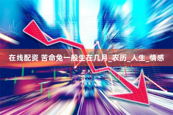 在线配资 苦命兔一般生在几月_农历_人生_情感