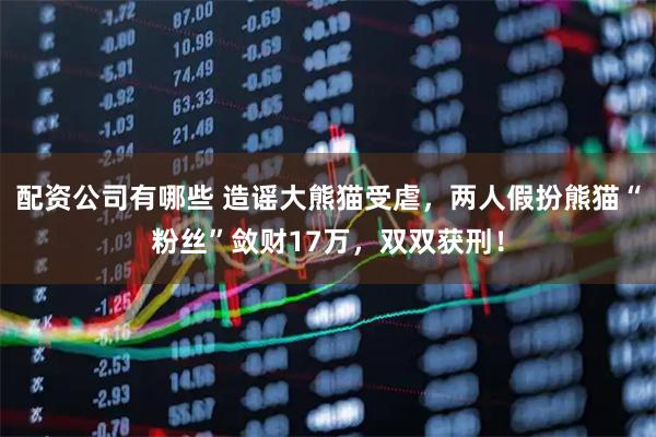 配资公司有哪些 造谣大熊猫受虐，两人假扮熊猫“粉丝”敛财17万，双双获刑！