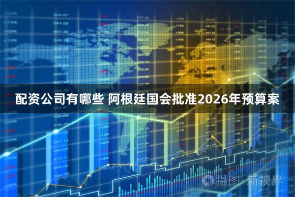 配资公司有哪些 阿根廷国会批准2026年预算案